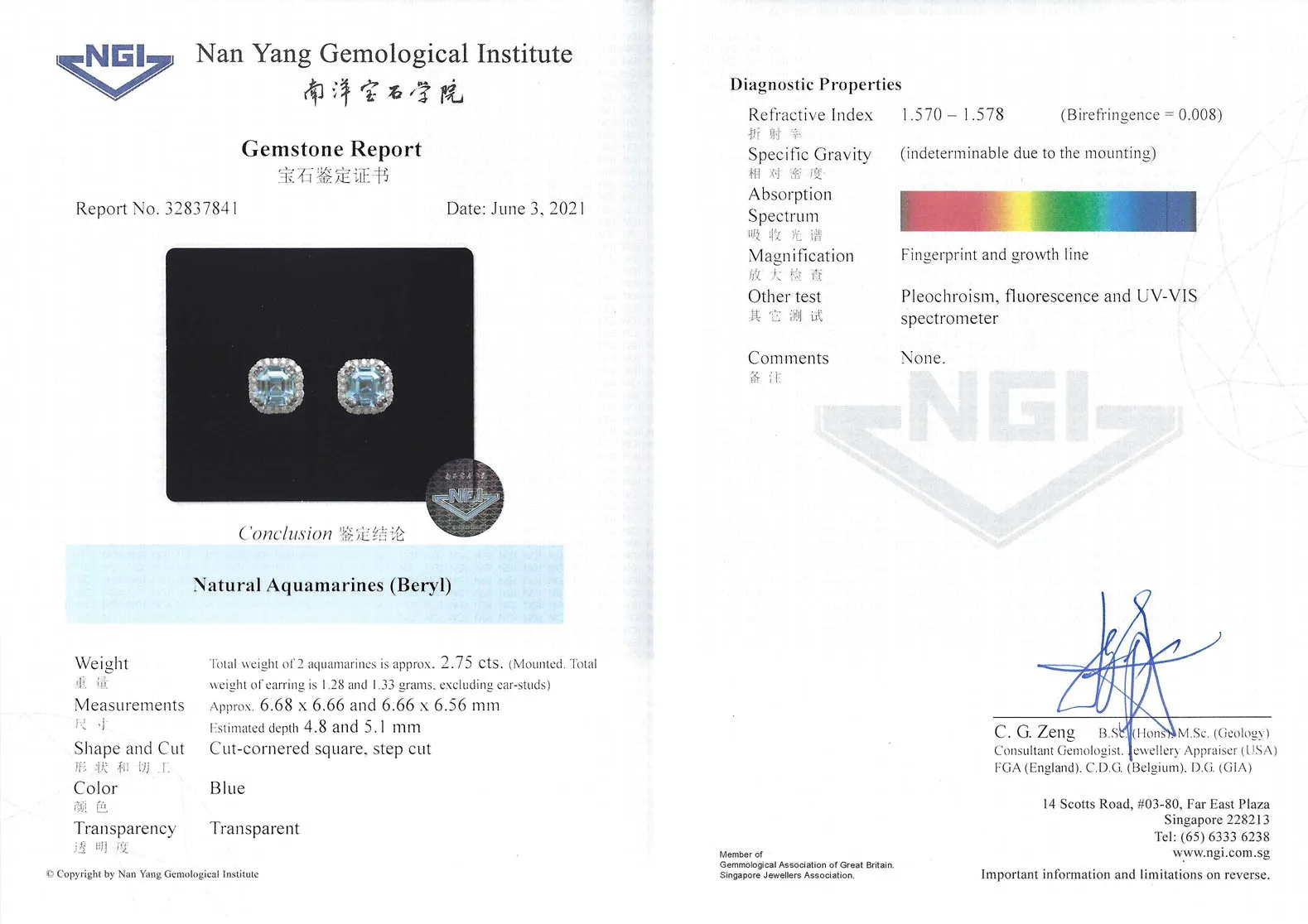 Aquamarine Earrings - 2.75CT (NJE022)